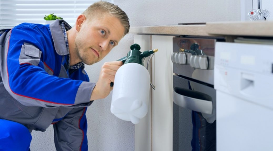 termites pest control near me