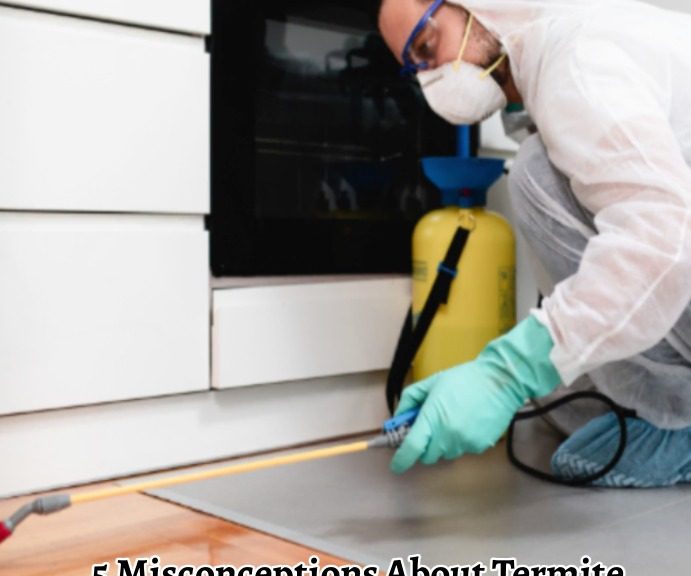 best termite pest control near me
