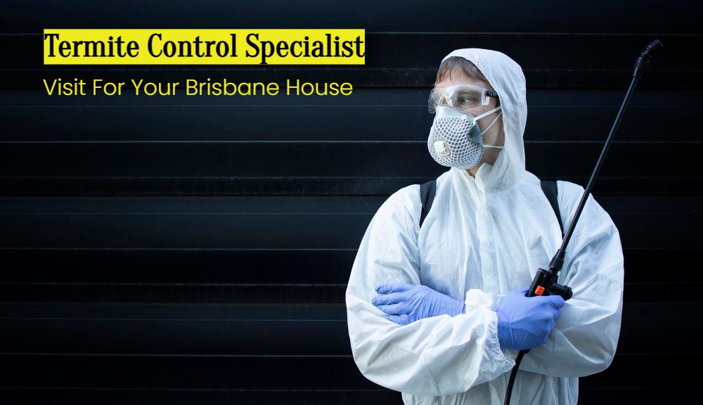 termites pest control near me Archives Termite Control Brisbane Affordable Termite Treatment