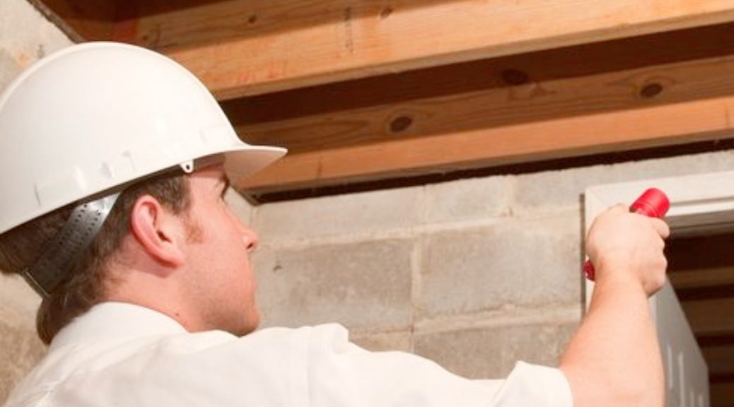 termites pest control near me