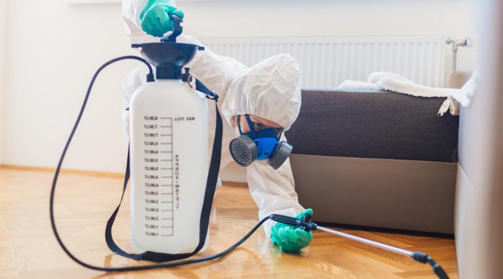 termites treatment specialist near me