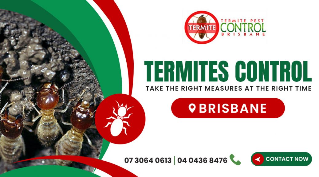 local termites control in Brisbane