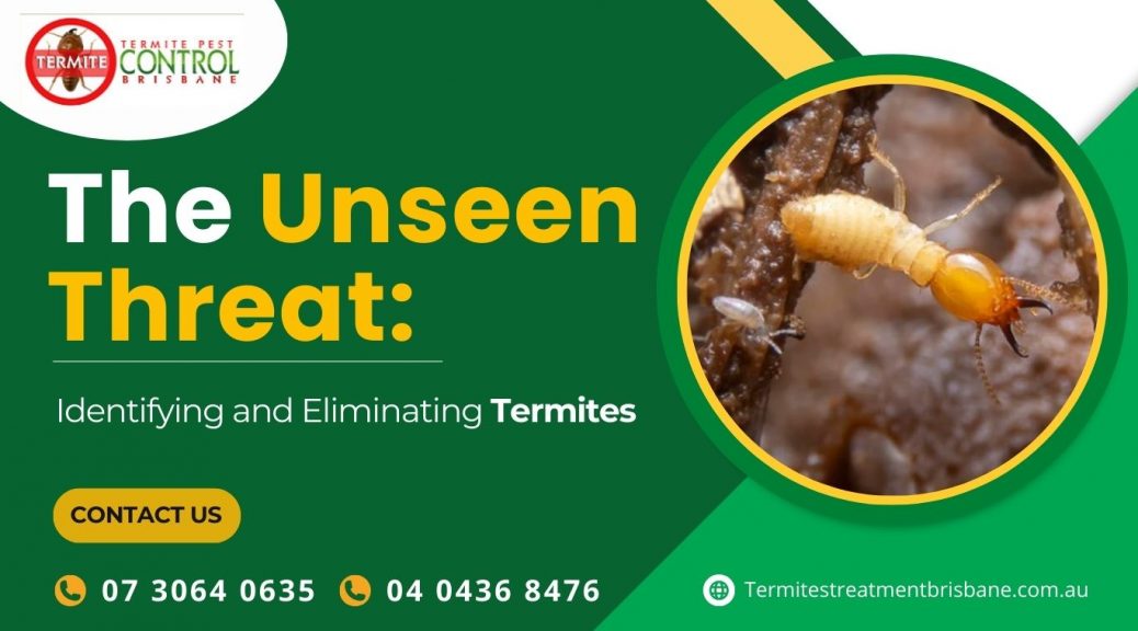 local termites control in Brisbane