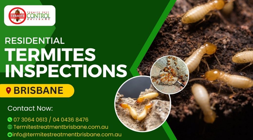 residential termites inspections Brisbane