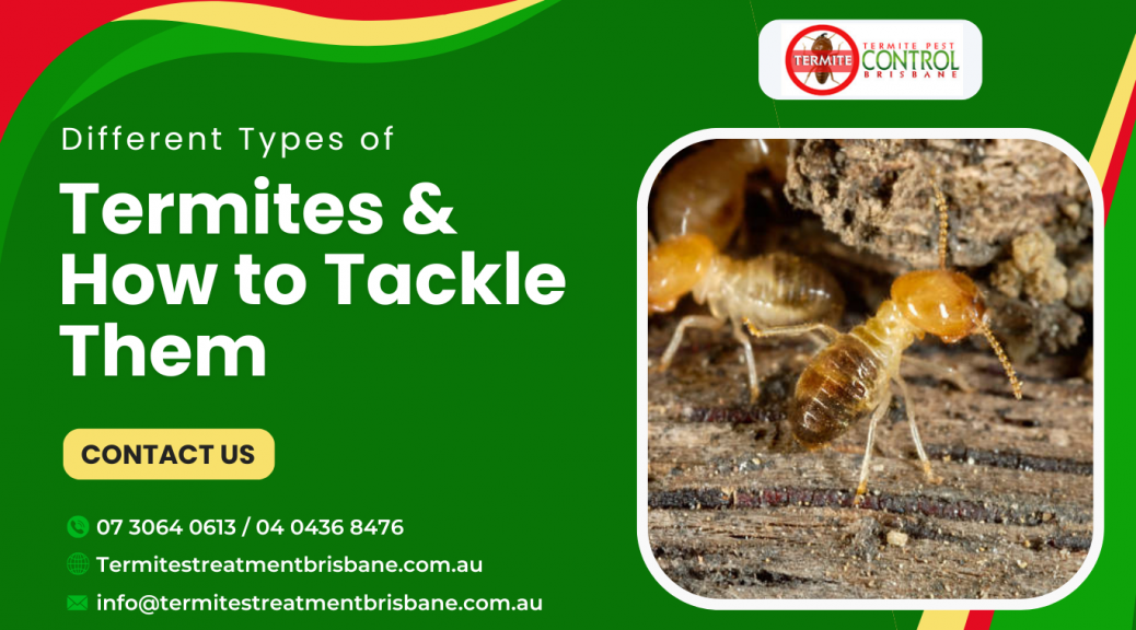termite treatment companies near me