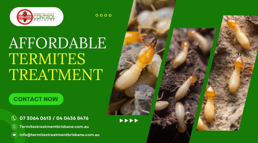 termite treatment companies near me