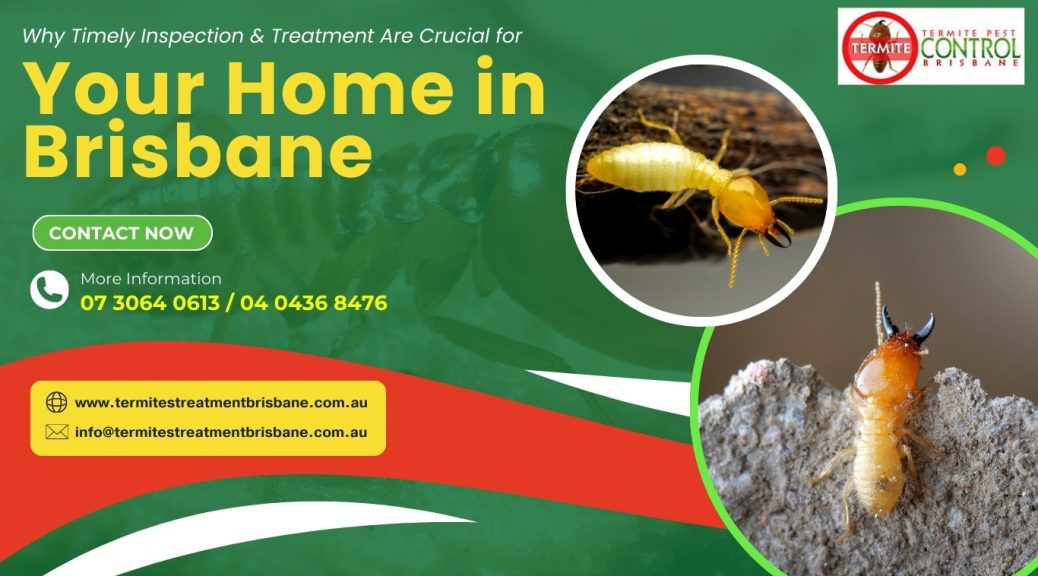 Termites: Why Timely Inspection and Treatment Are Crucial for Your Home in Brisbane