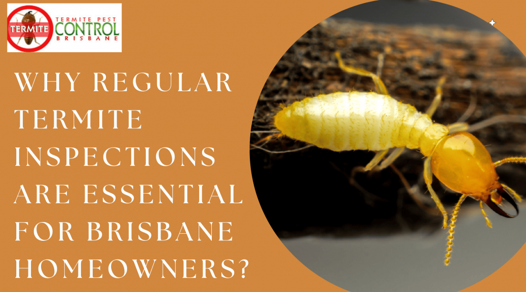 Why Regular Termite Inspections Are Essential for Brisbane Homeowners?