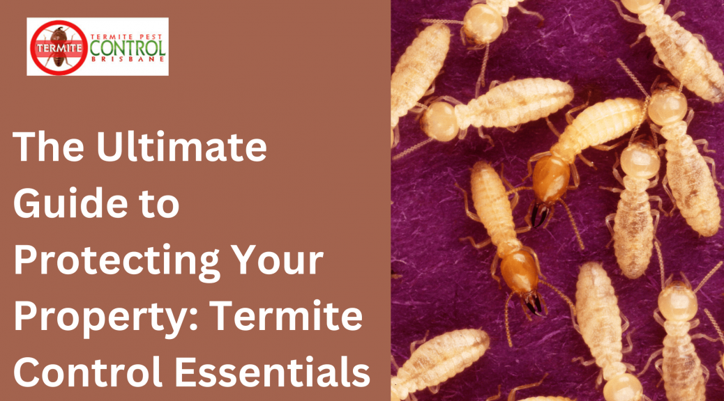 The Ultimate Guide to Protecting Your Property: Termite Control Essentials
