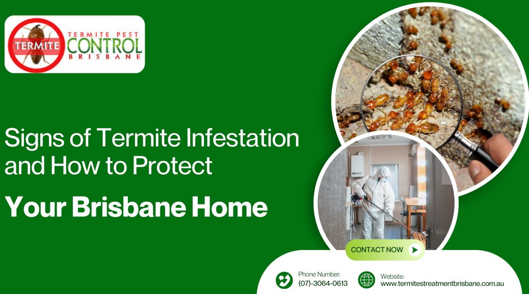 Signs of Termite Infestation and How to Protect Your Brisbane Home