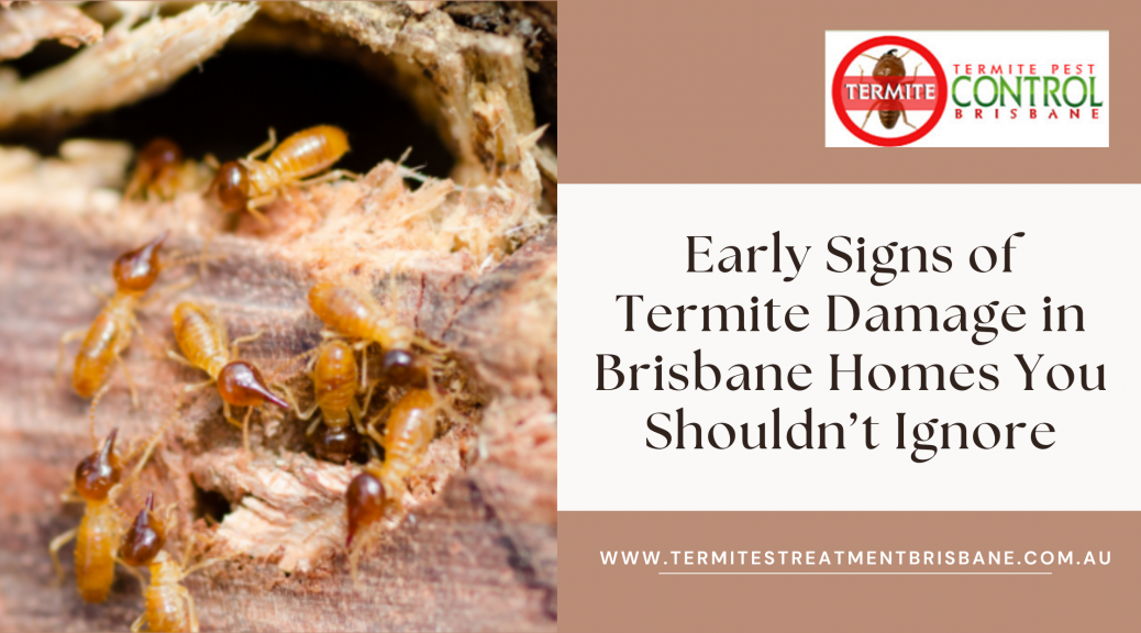 Early Signs of Termite Damage in Brisbane Homes You Shouldn’t Ignore